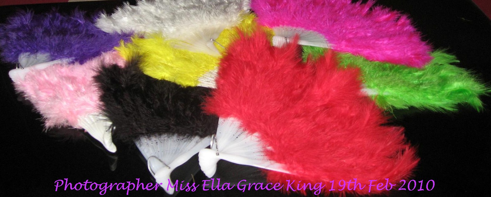 All Things Feather